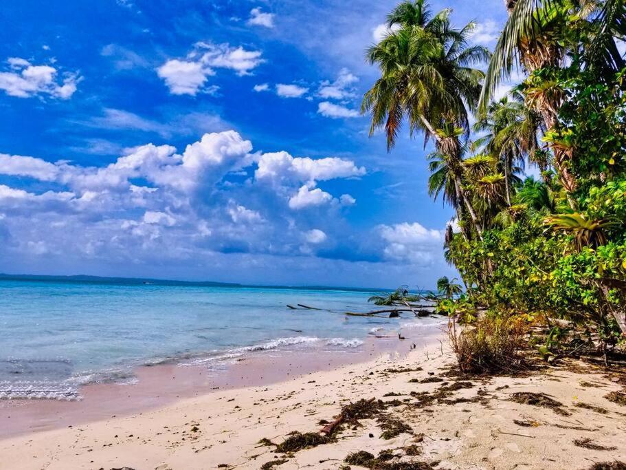 Poetry Garden Bocas Town Colon Island Βίλα Εξωτερικό φωτογραφία