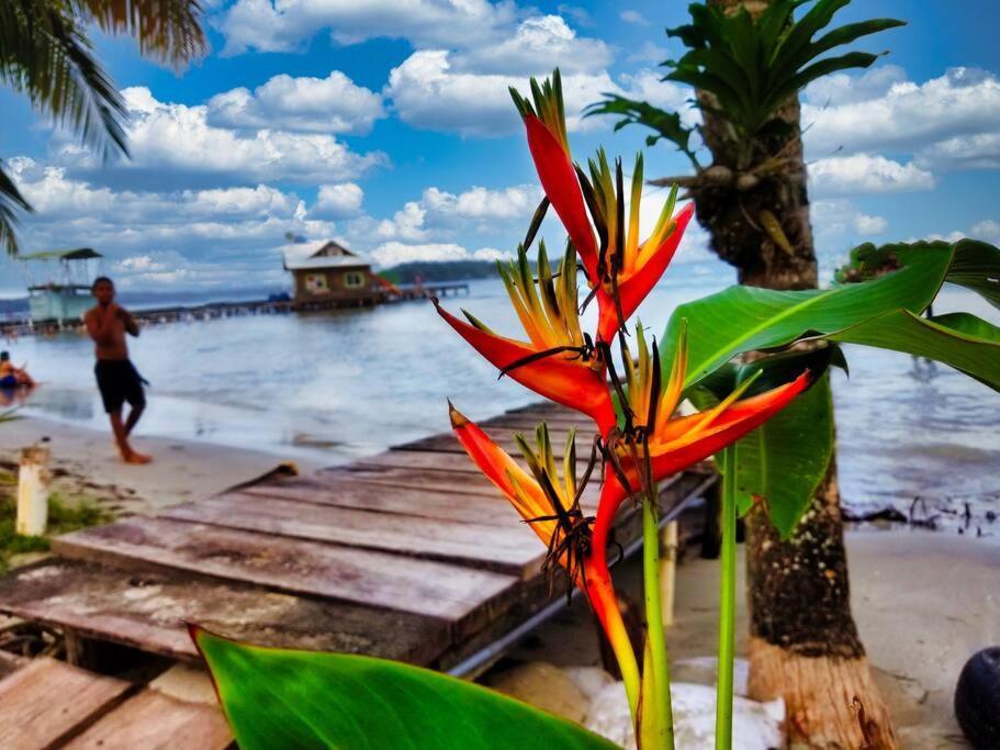 Poetry Garden Bocas Town Colon Island Βίλα Εξωτερικό φωτογραφία