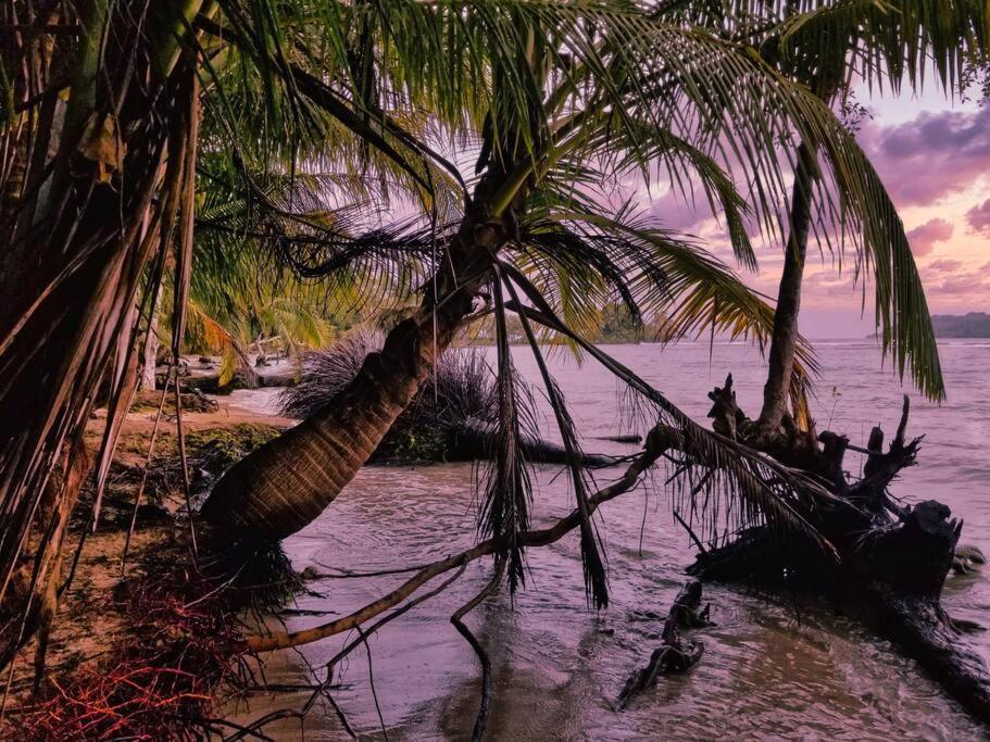 Poetry Garden Bocas Town Colon Island Βίλα Εξωτερικό φωτογραφία